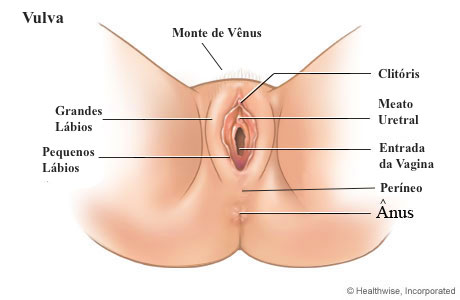 Mapa Vaginal do Vulva Negra