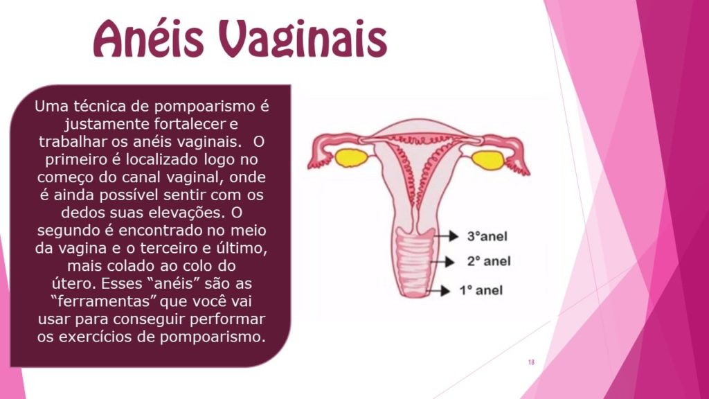 Anéis Vaginais Anéis Vaginais